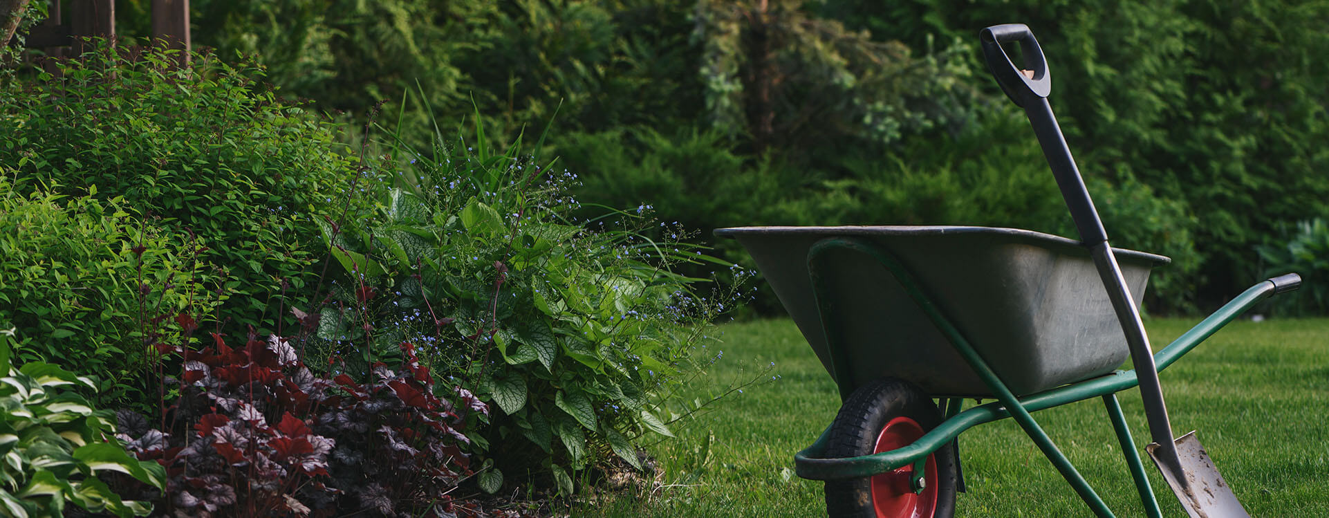 Lawn Services